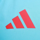 Regata de Treino Comissão Flamengo 25/26