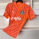 Camisa Palmeiras 24/25 - Goleiro